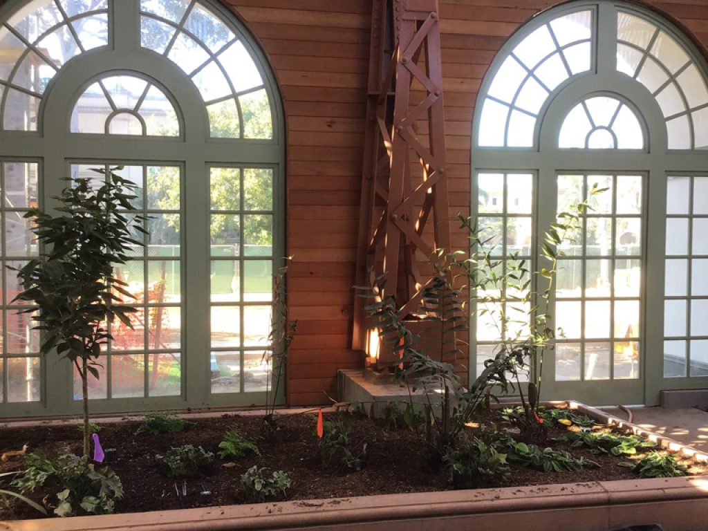 Large arched windows of Balboa Park Botanical Building